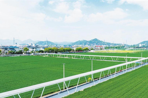尹家坂村