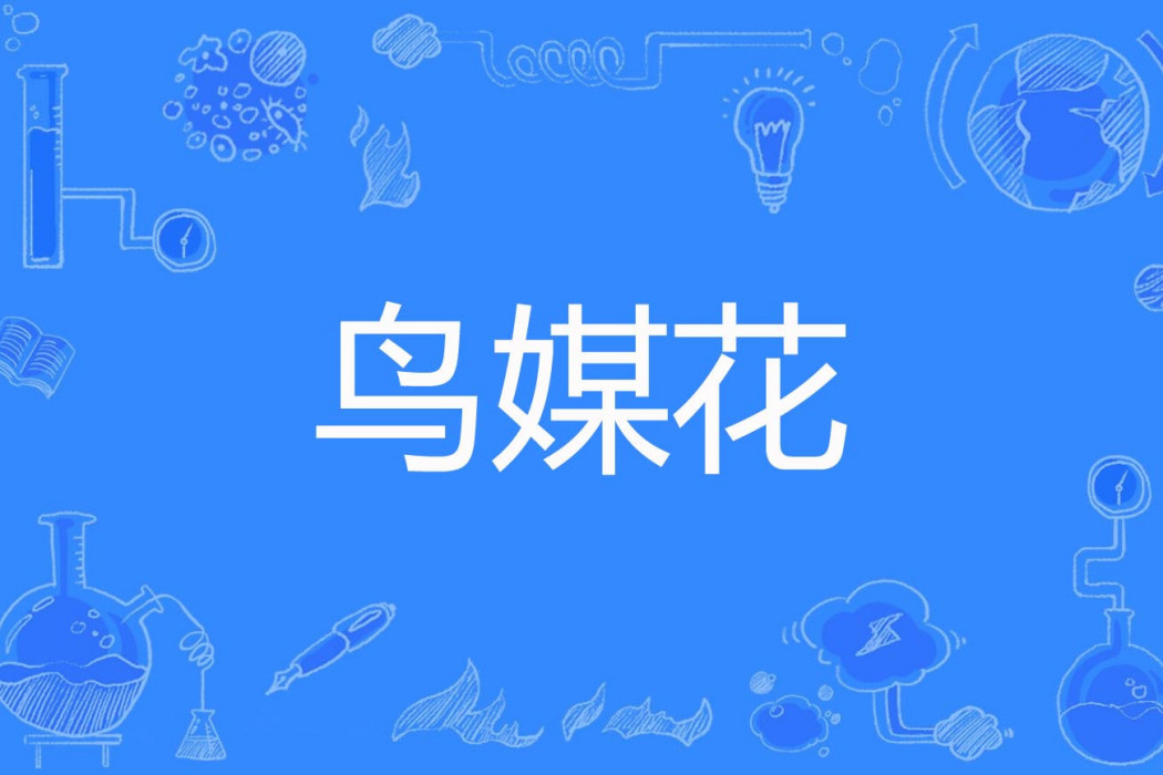 鳥媒花 鳥媒花