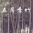 五月季竹 五月季竹