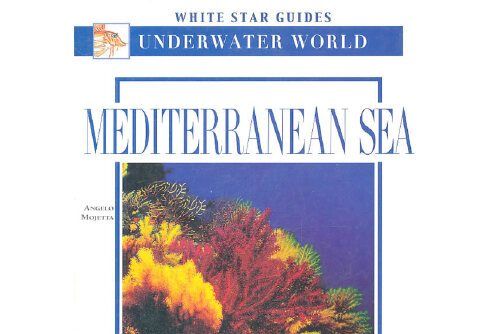 MEDITERRANEAN SEA(2011年Penguin出版的圖書) MEDITERRANEAN SEA(2011年Penguin出版的圖書)