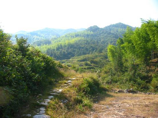 大慶嶺古道 大慶嶺古道