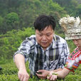黃明里 黃明里
