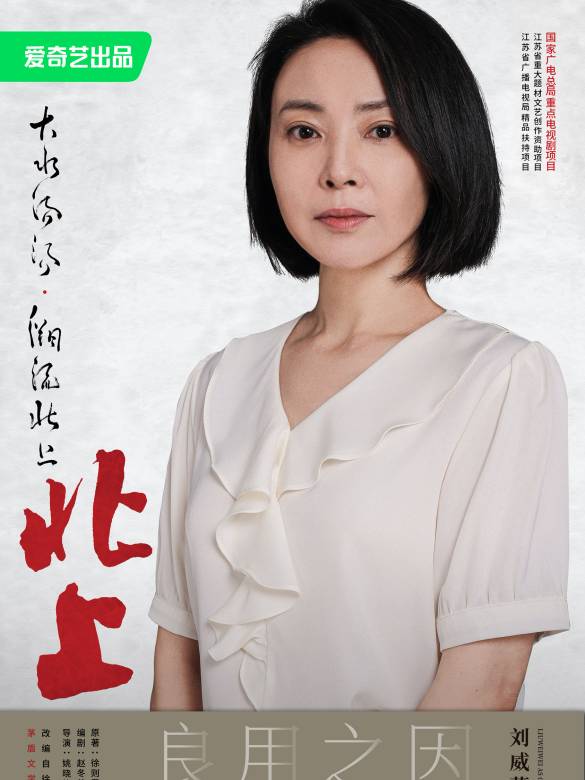 北上(2025年姚曉峰執導的現代劇)