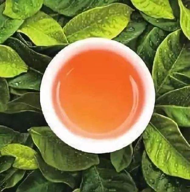 漵浦瑤茶 漵浦瑤茶