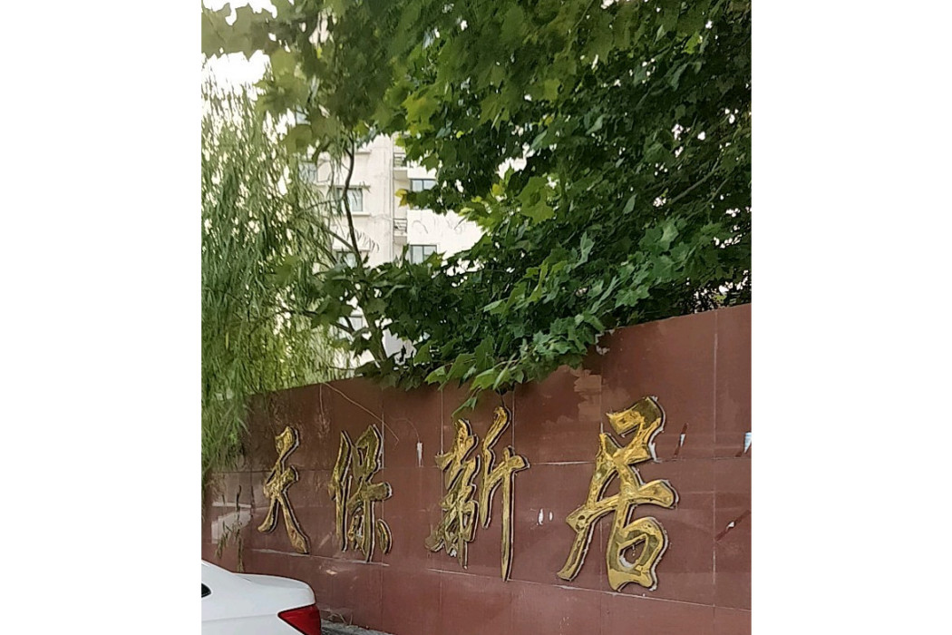 天保新居