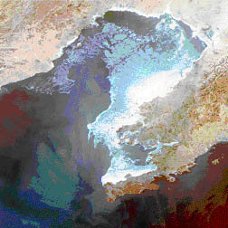 海洋衛星拍攝的圖片