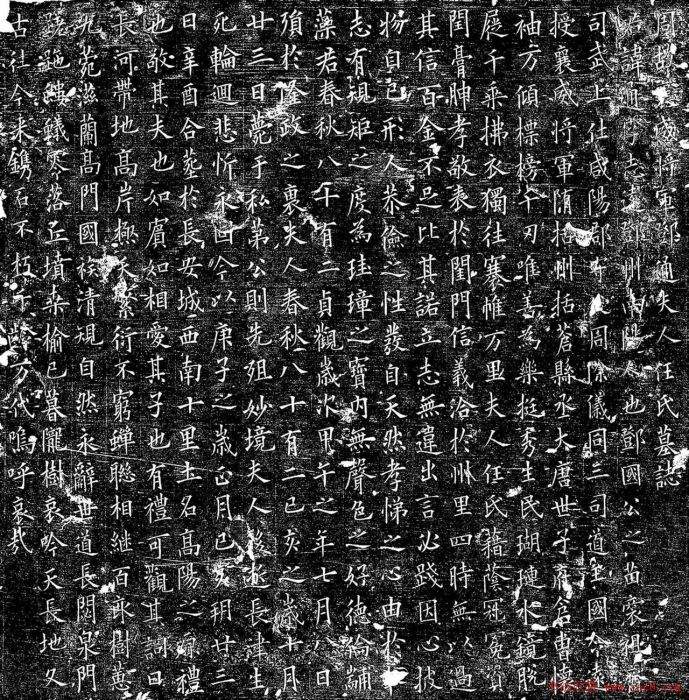 任氏墓誌 任氏墓誌