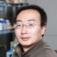 劉強(蘭州大學化學化工學院教授) 劉強(蘭州大學化學化工學院教授)