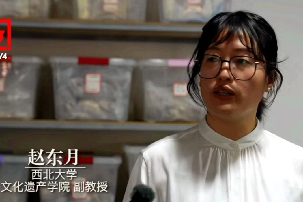 趙東月 趙東月