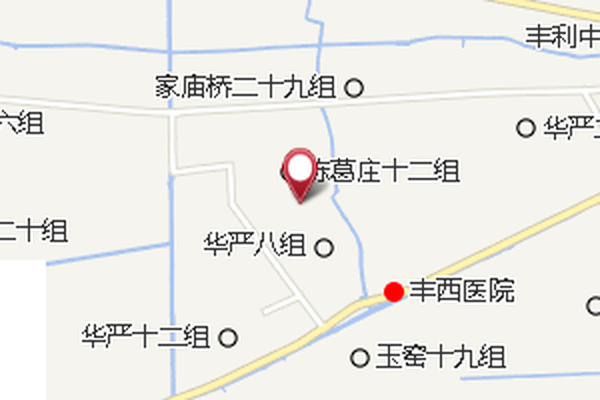 雙櫸樹 雙櫸樹