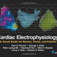 Cardiac Electrophysiology Cardiac Electrophysiology