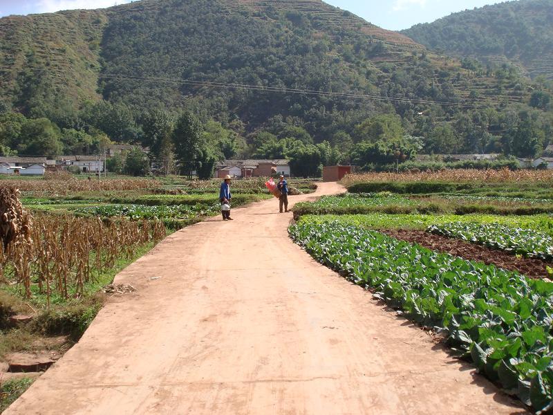 沙淤溝村 沙淤溝村