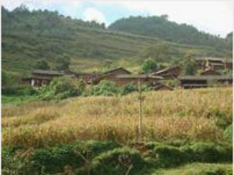 甘德村(貴州貞豐縣平街鄉下轄村) 甘德村(貴州貞豐縣平街鄉下轄村)