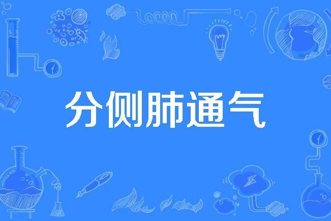 分側肺通氣 分側肺通氣