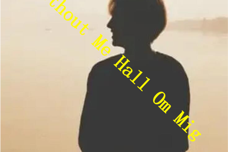 Without Me Hall Om Mig Without Me Hall Om Mig
