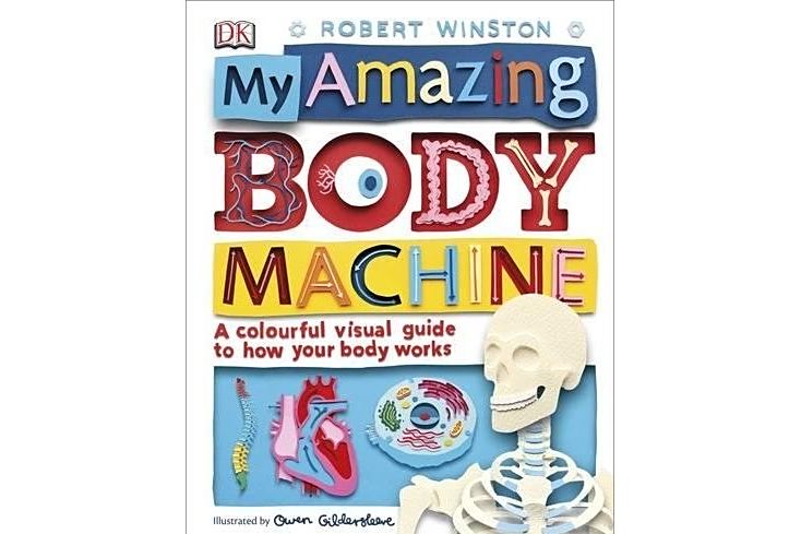 My Amazing Body Machine: A Colourful Visual Guide to How your Body Works My Amazing Body Machine: A Colourful Visual Guide to How your Body Works