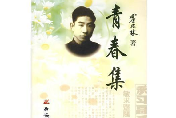 青春集(2007年西安出版社出版的圖書) 青春集(2007年西安出版社出版的圖書)