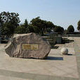 白鷺園(信陽市固始縣白鷺園) 白鷺園(信陽市固始縣白鷺園)