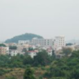 大塘村(廣東省廣州市南沙區黃閣鎮大塘村) 大塘村(廣東省廣州市南沙區黃閣鎮大塘村)