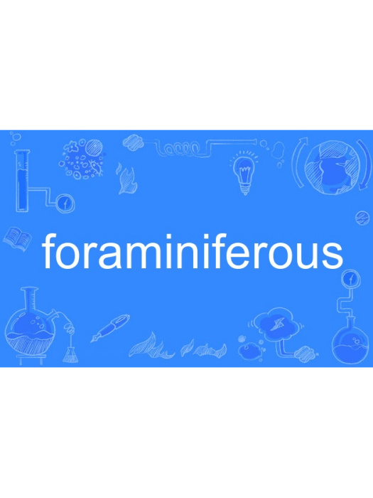 foraminiferous foraminiferous