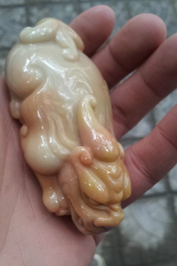 紅珊瑚玉 紅珊瑚玉