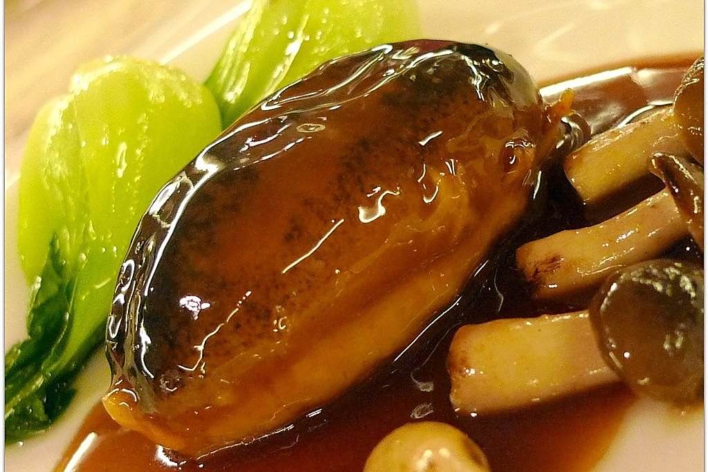 釀婆參 釀婆參