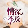 情深不及 情深不及