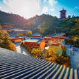 玉佛寺(攀枝花市玉佛寺) 玉佛寺(攀枝花市玉佛寺)
