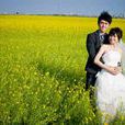 吳婉如 吳婉如