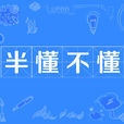 半懂不懂