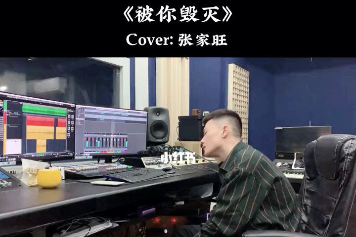 被你毀滅 被你毀滅