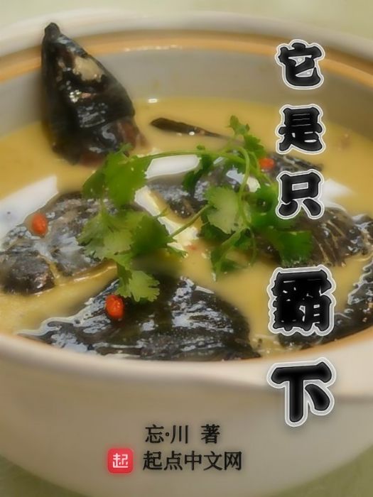 它是只霸下 它是只霸下