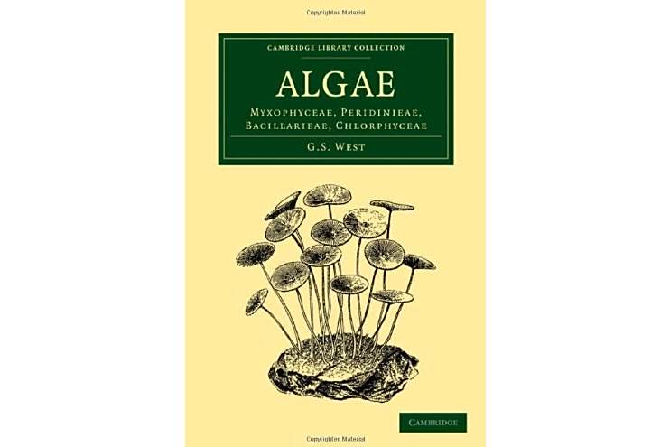 Algae(2010年出版的圖書) Algae(2010年出版的圖書)