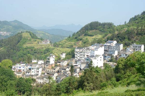 蒼房村(雲南楚雄市子午鎮下轄村) 蒼房村(雲南楚雄市子午鎮下轄村)