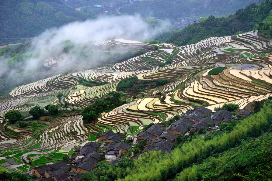 念山梯田 念山梯田