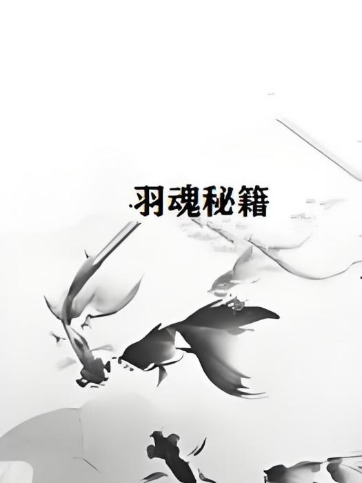 羽魂秘籍 羽魂秘籍