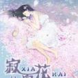 寂夏花開 寂夏花開