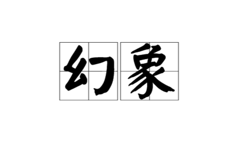 幻象(漢語詞語)