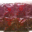烏膜豆仁 烏膜豆仁