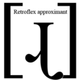 捲舌近音 捲舌近音