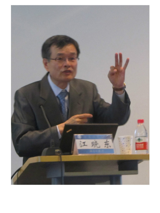 江曉東(天津大學教授) 江曉東(天津大學教授)