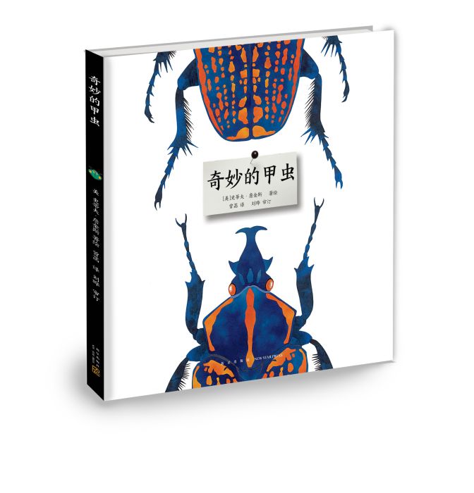 奇妙的甲蟲 奇妙的甲蟲