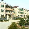 四聯村(浙江省杭州市富陽縣受降鎮四聯村) 四聯村(浙江省杭州市富陽縣受降鎮四聯村)