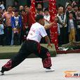 少林龍爪手(少林武術絕技) 少林龍爪手(少林武術絕技)