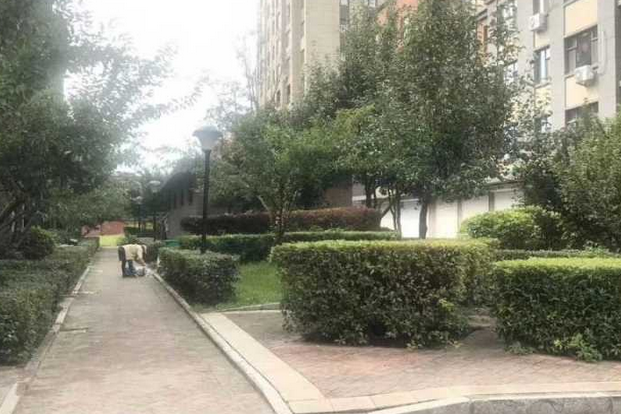 虹景閣北區 虹景閣北區