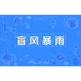 盲風暴雨