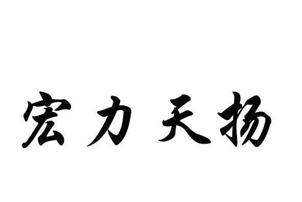 宏力天揚 宏力天揚