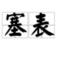 塞表 塞表