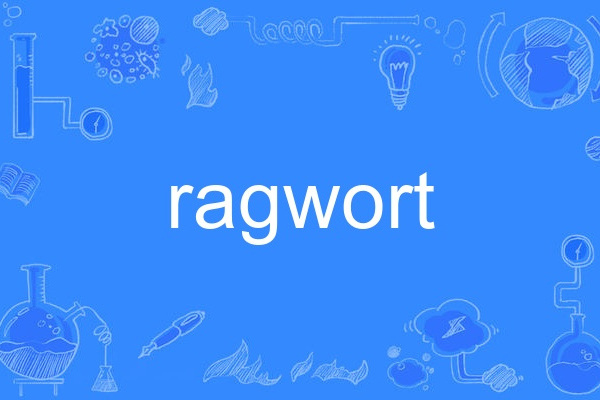 ragwort ragwort