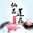 仙若蓮花 仙若蓮花